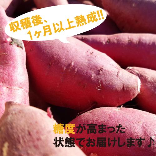 茨城県産 さつまいも 追熟 紅はるか S Mサイズ 5kg箱 Yasai 7 芋屋久兵衛 通販 Yahoo ショッピング