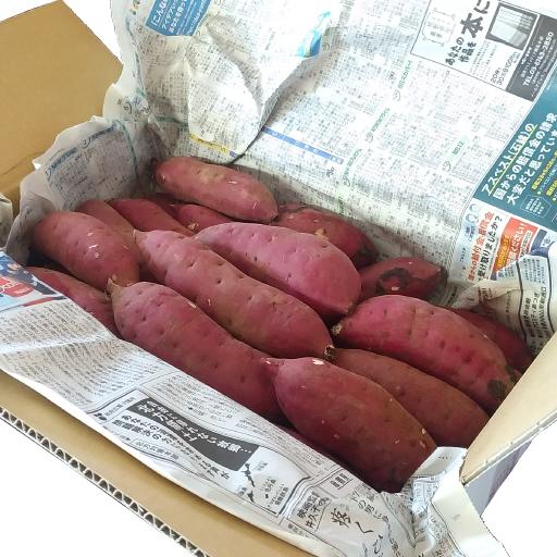 茨城県産 さつまいも 追熟 紅はるか S Mサイズ 5kg箱 Yasai 7 芋屋久兵衛 通販 Yahoo ショッピング