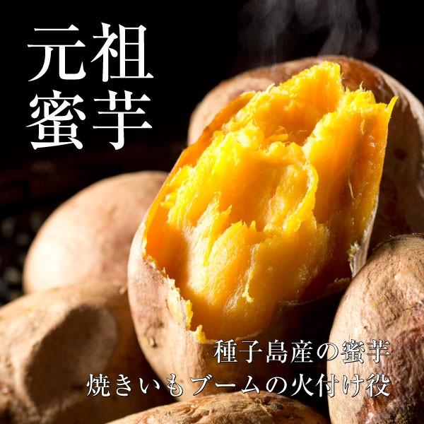 焼き芋 安納芋 1kg 冷凍 冷やし焼き芋 鹿児島県産 種子島産 さつまいも 蜜芋 子供のおやつ レンジ ランキング 通販 お取り寄せ 贈答 ギフト お歳暮 An0002 焼き芋専門店 芋やす Yahoo 店 通販 Yahoo ショッピング