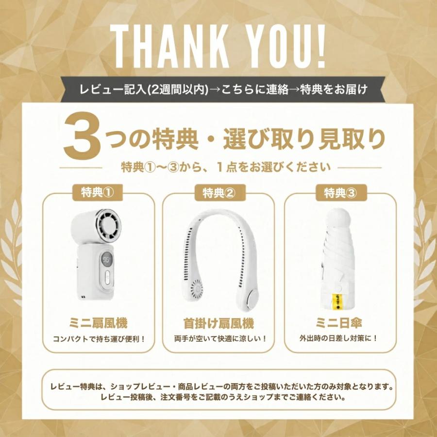 Paypay祭限定・全額還元チャンス！】クールエアーミスト ポータブル