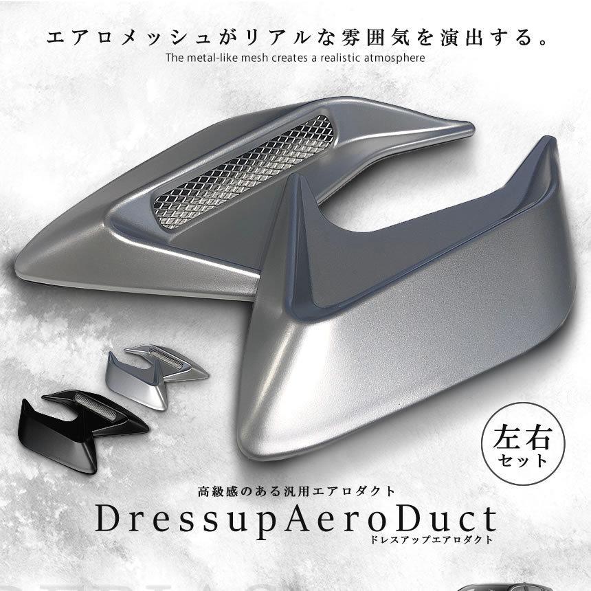 ドレスアップ エアロ ダクト セット 汎用 ダミー フェンダー バンパー