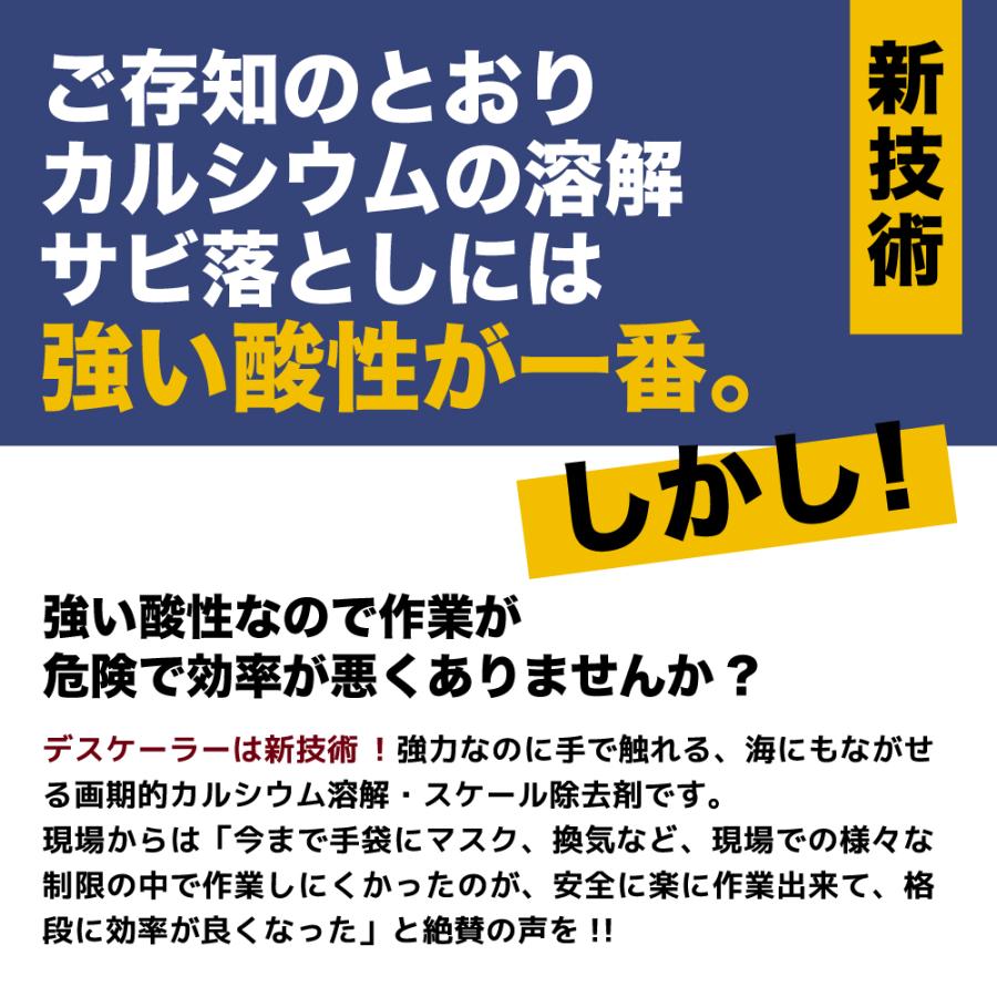 【プロも唖然!】安全 超強力 パイプクリーナー 排水管 洗浄液 排水管 掃除 排水管詰まり【プロ用の威力】インパクトデスケーラー(ハード) 300ml スプレー |  | 06