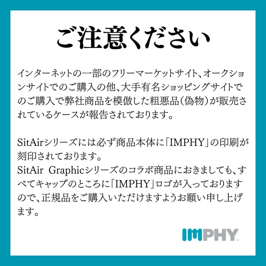 骨盤矯正 姿勢矯正 公式 シットエアー マックス SitAir Max IMPHY 腰痛