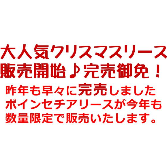 クリスマスリース 玄関 おしゃれ 造花  豪華 人気 45cm  W-169 |  | 01