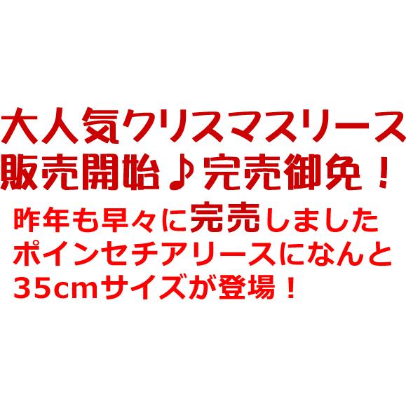 クリスマスリース 玄関 おしゃれ 造花 クリスマス リース 35cm W-286 |  | 01