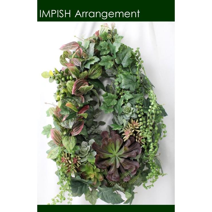 ユーフォルビア フスカ 現地球からカットした挿し木 発根済 003