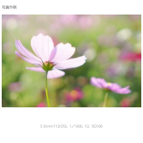 IMPマートソニー 標準単焦点レンズ APS-C デジタル一眼カメラα[E