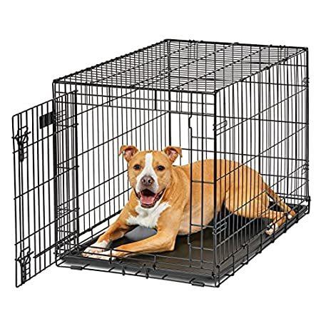 Life Midwest Dog Crate Stages Crate Folding 犬用品 Dog 犬小屋 屋外サークル Metal 36 Crate Divider Panel Bmqlw ベストインポート 即日発送対応 中古 買取オンライン 直売大セール