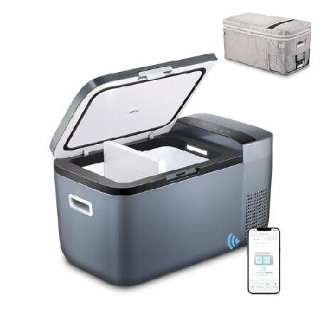 ICECO GO20 20Liter 12V Refrigerator, Dual Zone Car Freezer