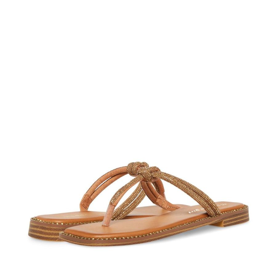 マッデン ガール (Madden Girl) レディース ビーチサンダル シューズ・靴 Holis (Bronze Multi) sh2