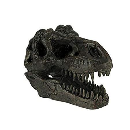 【希少！！】 Rex Tyrannosaurus Things2Die4 Dinosaur Small Statue Fossil Skull オブジェ、置き物
