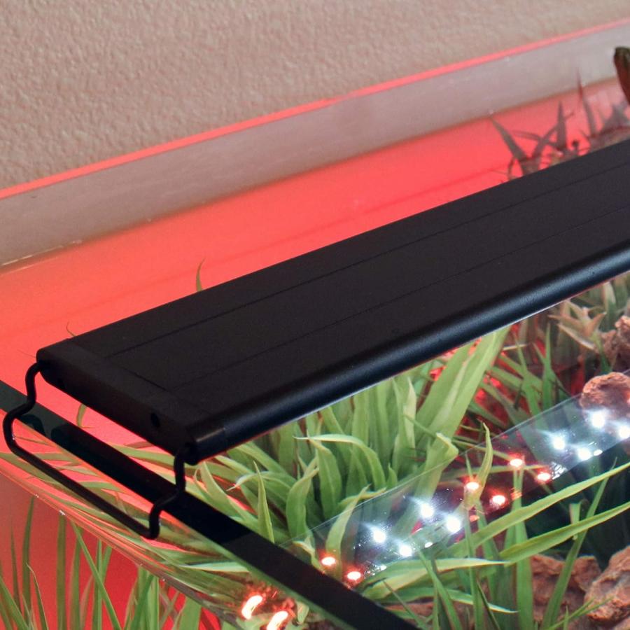 当店の記念日 Current USA Serene Light LED Aquarium Speakers Experience Remote  Visual Background LED and Light Audio Aquatic Aquarium Kit Wireless しつけ用品 