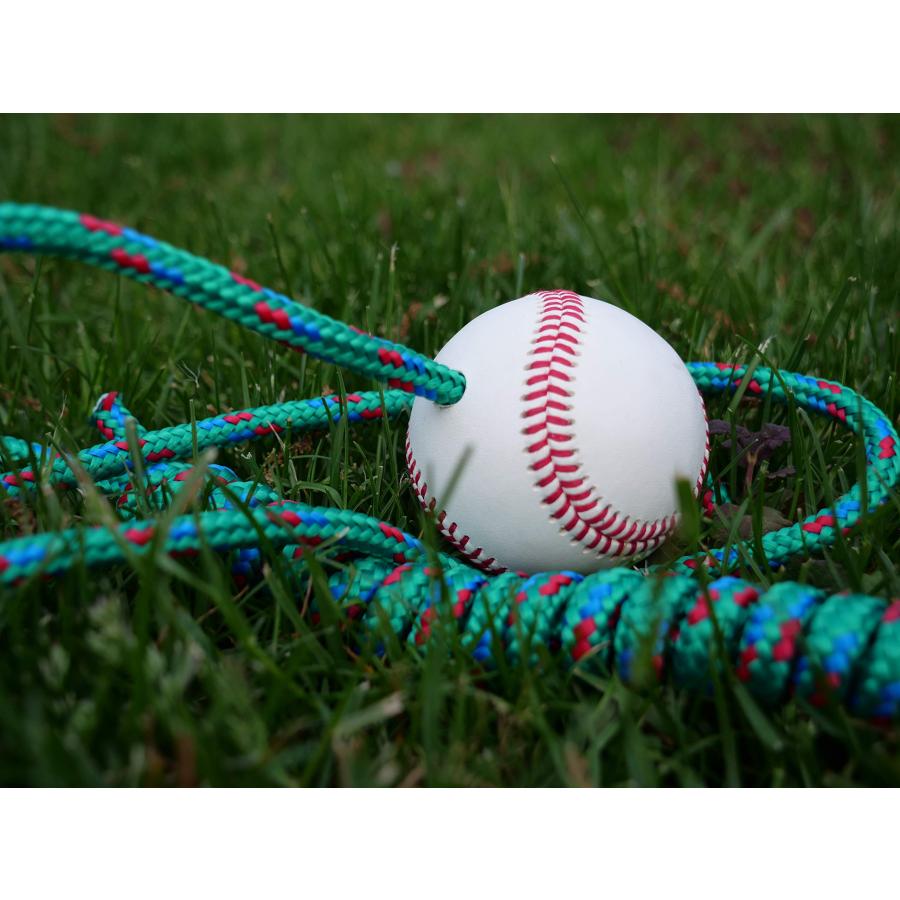 【並行輸入品】ヒッティングロープ。 The Hitting Rope Baseball Bat Training Aid   Batting Tの画像