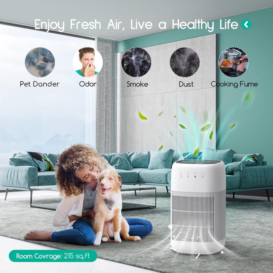 Air Purifier and Dehumidifier in 1, Afloia Q10 True HEPA Air Pur 並行輸入品｜import-tabaido｜07