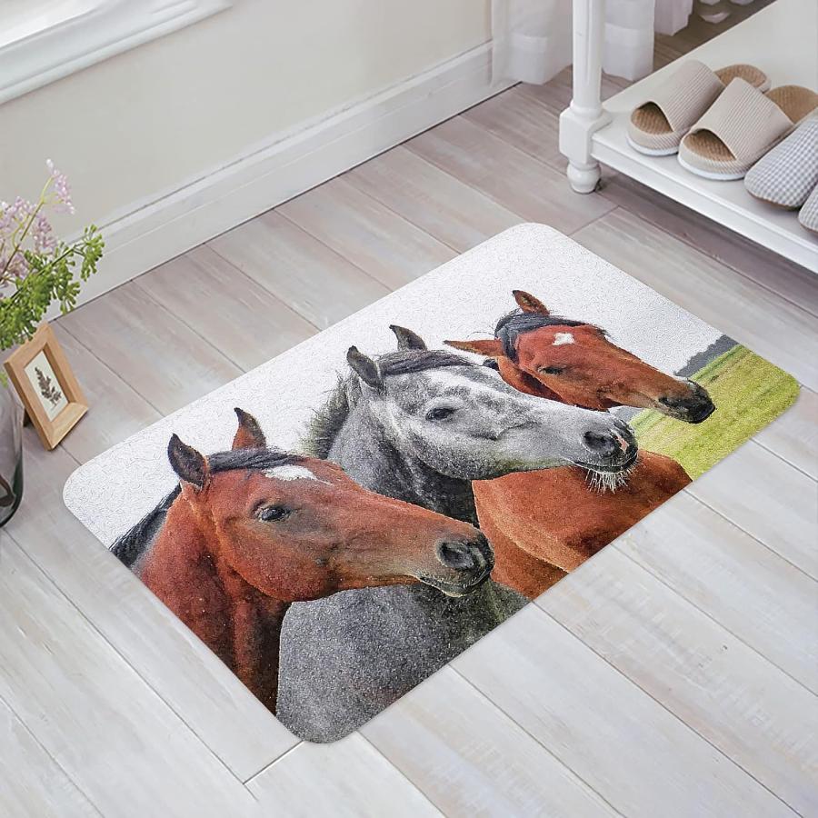 【並行輸入品】Indoor Doormat Front Back Door Mats with Non Slip Backing Close-u 並行の画像