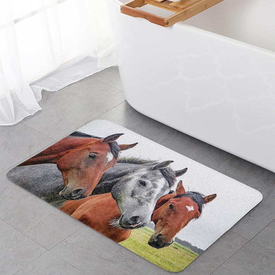 【並行輸入品】Indoor Doormat Front Back Door Mats with Non Slip Backing Close-u 並行の画像
