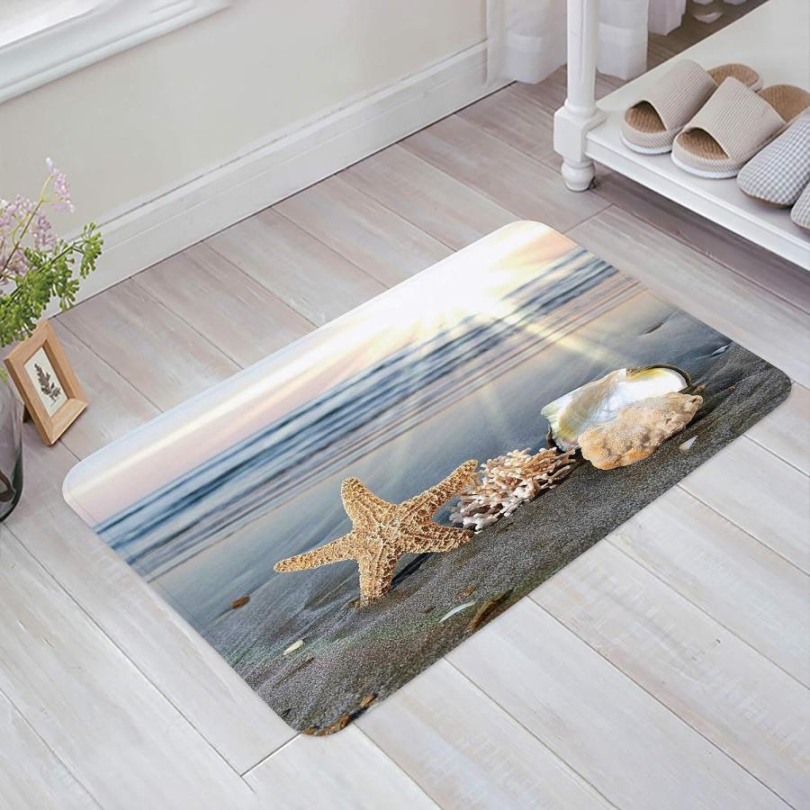 【並行輸入品】Indoor Doormat Front Back Door Mats with Non Slip Backing Sun Sky 並行の画像