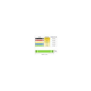 【並行輸入品】エクササイズバンド shishae Resistance Band for Women and Men Workout Bands_8