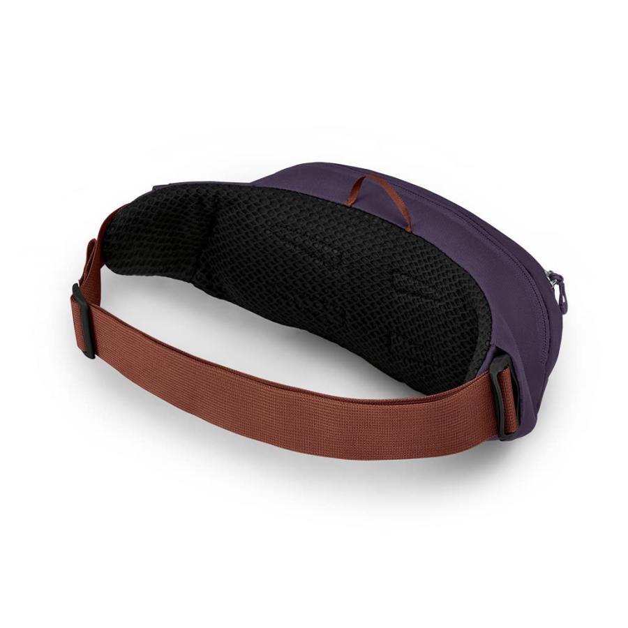 【並行輸入品】Osprey Daylite ウエストパック アクソグリーン/エンチャントメントパープル ワンサイズ Osprey Daylite