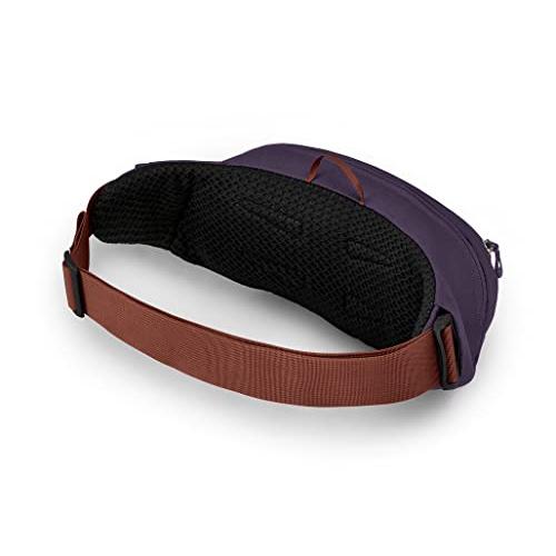 【並行輸入品】Osprey Daylite ウエストパック アクソグリーン/エンチャントメントパープル ワンサイズ Osprey Daylite