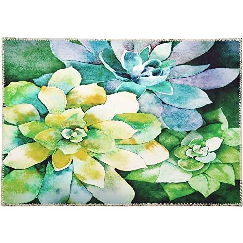 【並行輸入品】Olivia's Home Jade Succulents Accent Washable Rug 22" x 32" Door_1