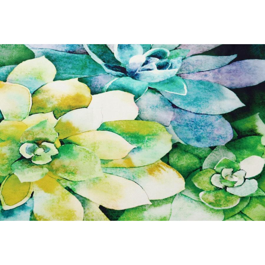 【並行輸入品】Olivia's Home Jade Succulents Accent Washable Rug 22" x 32" Door_3
