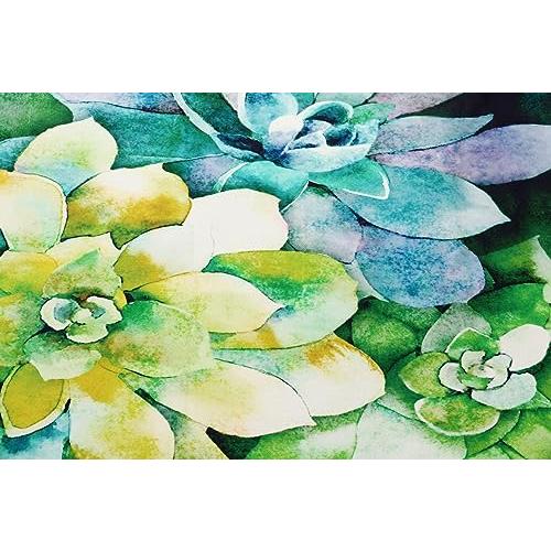 【並行輸入品】Olivia's Home Jade Succulents Accent Washable Rug 22" x 32" Door_4