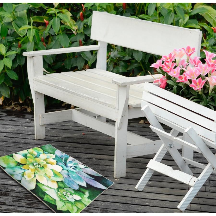 【並行輸入品】Olivia's Home Jade Succulents Accent Washable Rug 22" x 32" Door_9