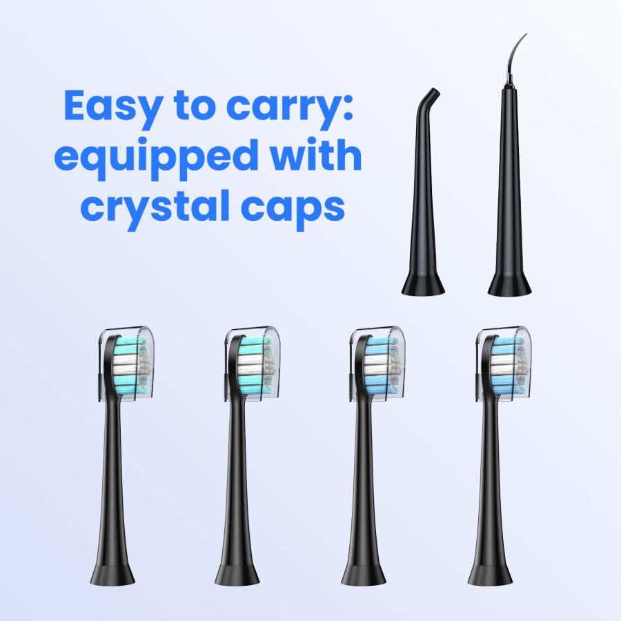 売り出し価格 Toothbrush Replacement Heads & Water Floss Replacement Heads Sui 並行輸入品