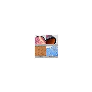【並行輸入品】ZENWAWA Kitchen Mat (Fairly Hummingbird) 2 Pcs Set， Anti Fatigue_5