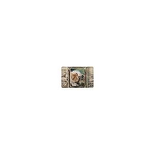 【並行輸入品】Zomyto Cat Bath Rugs,Bedroom,Non Slip Absorbent Resist Dirt Entrの画像