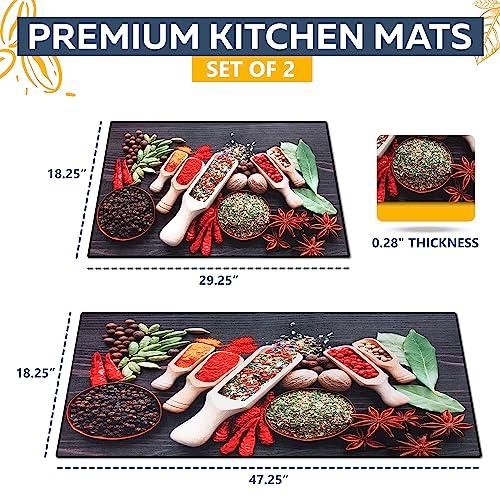 【並行輸入品】Capricorn US 2 Pcs Kitchen Rug Set Non Slip Spice Kitchen Rugs