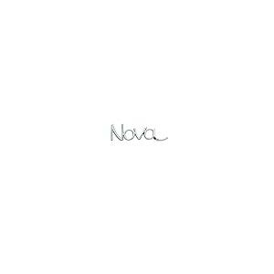 ブランド登録なし - 【並行輸入品】Nova OEM フロントフェンダーエンブレム 3D胸章 ２５セント貨ダイアログボックス 取り替えっこ用 1969 1972 Nova用 (Cr)