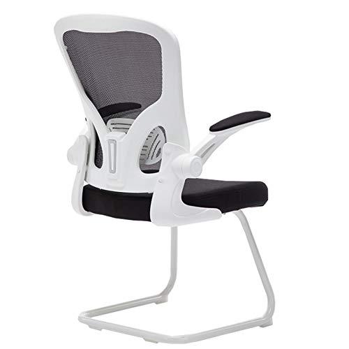 限定販売店舗 OZCULT Desk Chairs Ergonomic Office Chair Home Student Desk Chai 並行輸入品