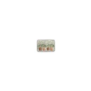 【並行輸入品】Welcoming Geraniums Welcome Doormat Outdoor Indoor Farmhouse Entの画像