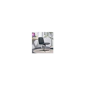 ブランド登録なし - 【並行輸入品】RIGO Home Computer Chair Office Chair Adjustable 360 °Swivel Cus