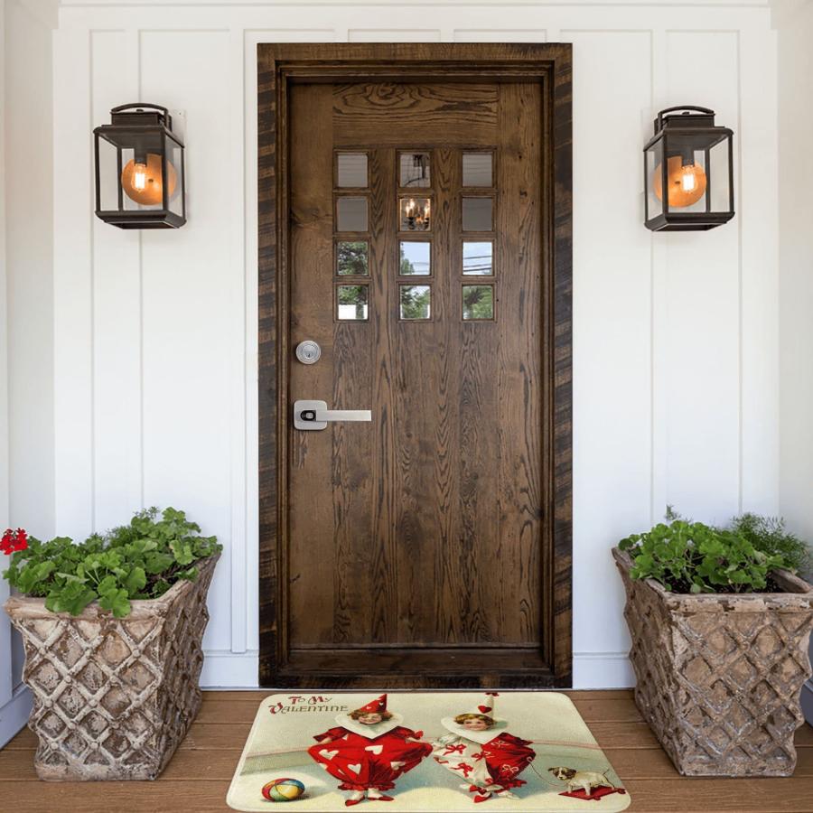 【並行輸入品】Welcome Doormats Garden Gnomes Entrance Door Mat,Low Profile Traの画像