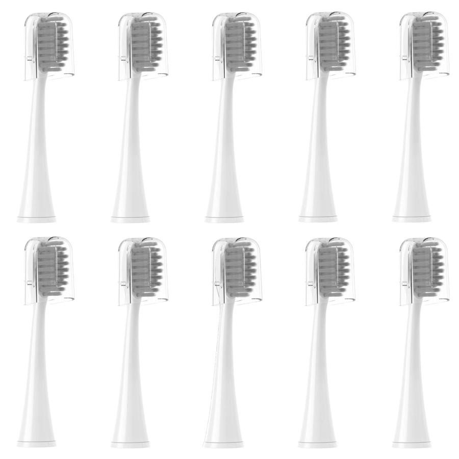 MERUYOO 交換用歯ブラシヘッド バーストソニック歯ブラシ対応 MERUYOO Replacement Toothbrush 並行輸入品