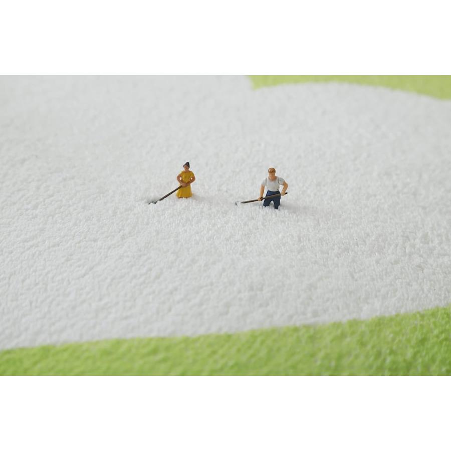 【並行輸入品】TONG XIAN Green Rug Frog Bath Mat Tropical Non-Slip Soft Absorbenの画像