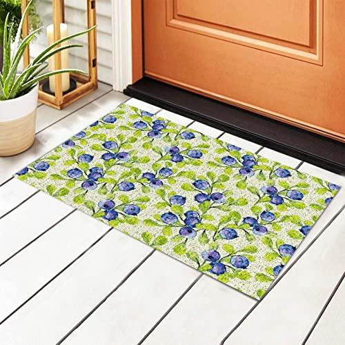 【並行輸入品】Welcome Mats 24x16 Inch for Front Door Outdoor Blueberries Doormの画像