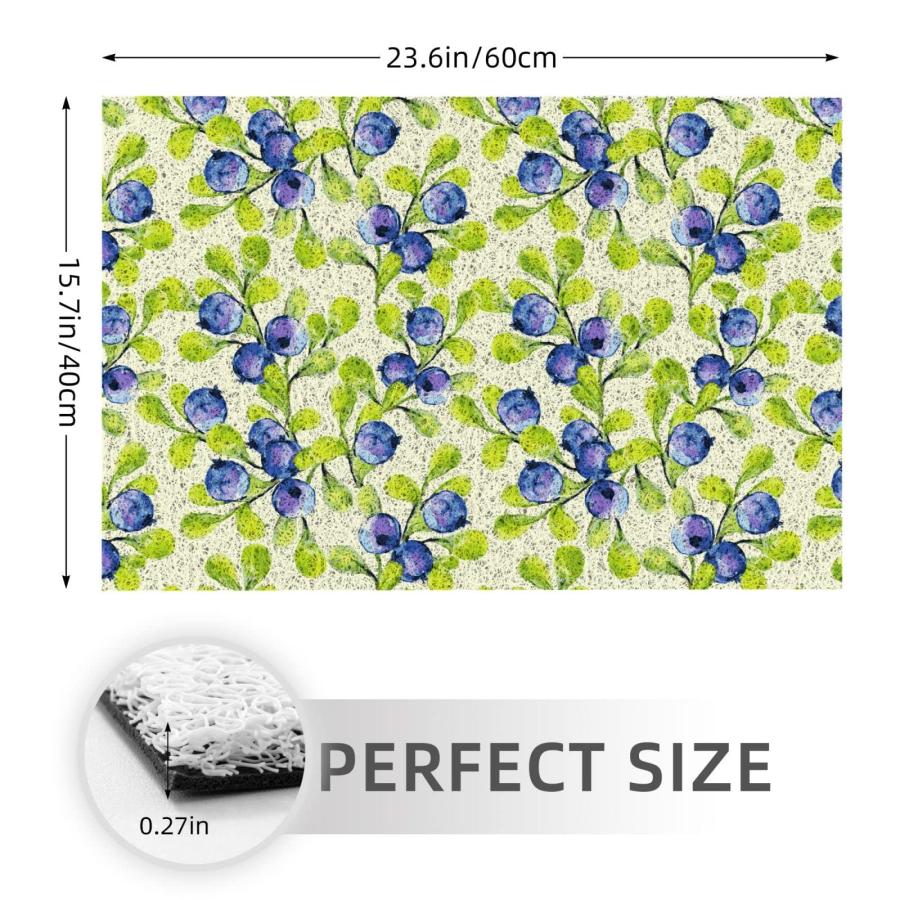 【並行輸入品】Welcome Mats 24x16 Inch for Front Door Outdoor Blueberries Doormの画像