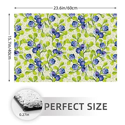【並行輸入品】Welcome Mats 24x16 Inch for Front Door Outdoor Blueberries Doormの画像