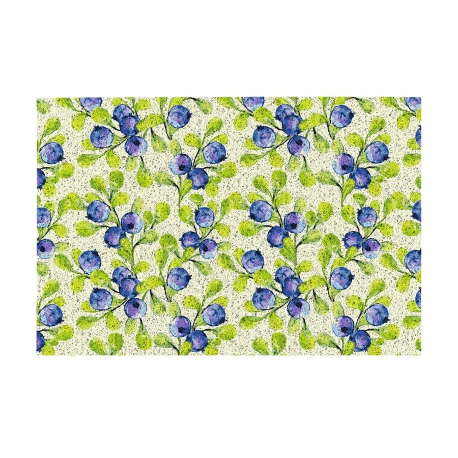 【並行輸入品】Welcome Mats 24x16 Inch for Front Door Outdoor Blueberries Doormの画像