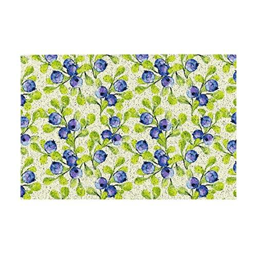 【並行輸入品】Welcome Mats 24x16 Inch for Front Door Outdoor Blueberries Doormの画像