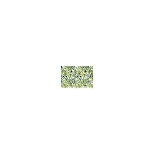 【並行輸入品】Welcome Mats 24x16 Inch for Front Door Outdoor Fern Doormat Nonの画像