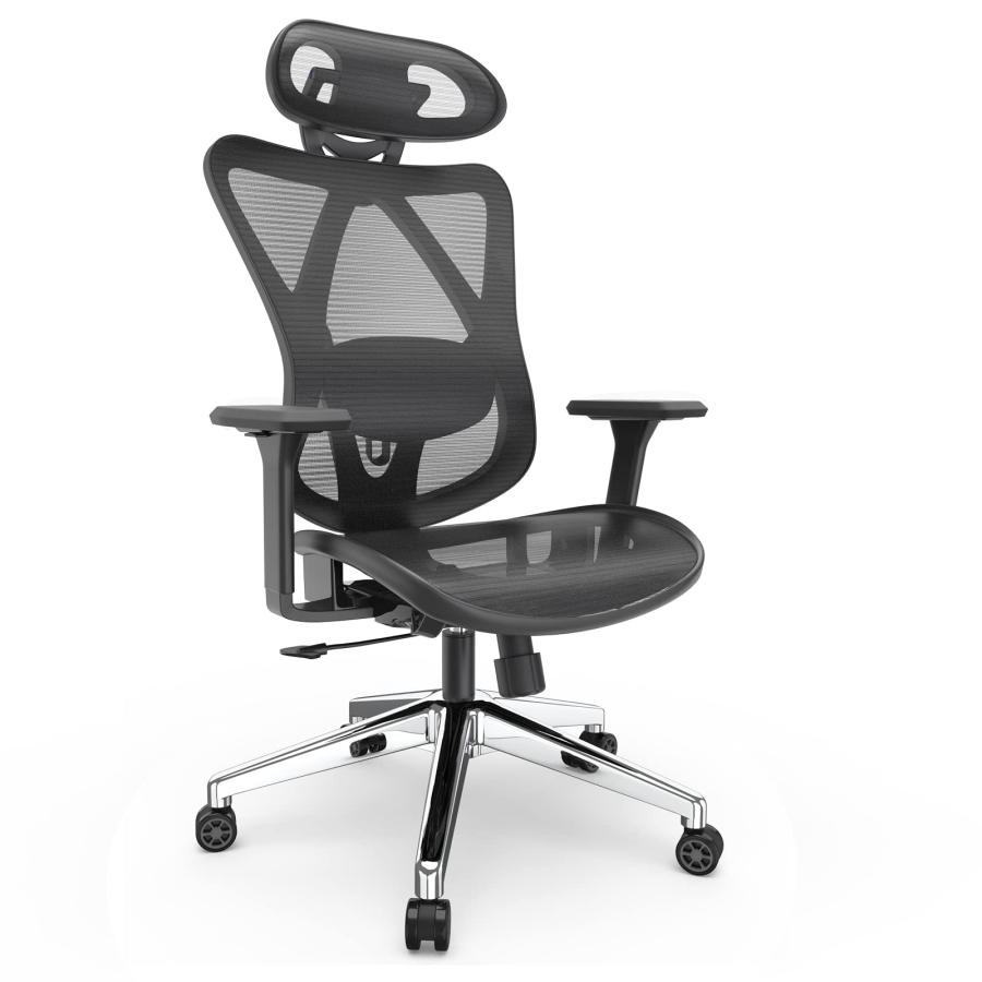 並行輸入品】Laziiey エルゴノミックオフィスチェア メッシュホーム