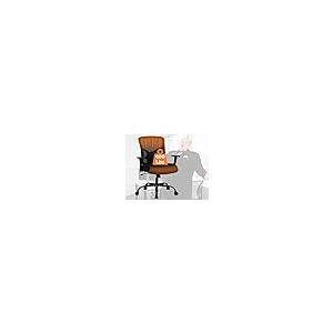 【並行輸入品】400 Lbs Big and Tall Office Chair， Ergonomic Office Chair with W_2