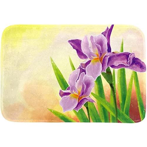 【並行輸入品】Iris Flower Non Slip Rubber Backed Entryway Rugs for Indoor Outdの画像