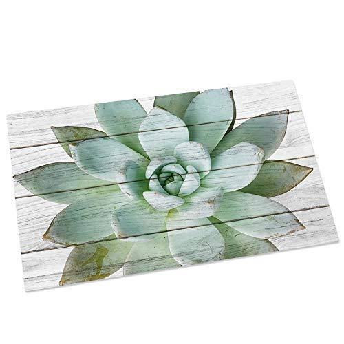 【並行輸入品】Welcome Doormat Spring Green Succulents Rustic Wood Board,Non Slの画像