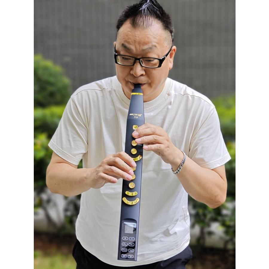 【値下げ】 INGPARTNER i9 Digital Wind Instruments Electric Wind Instrument W　並行輸入 【CE1699586883】(60155円)